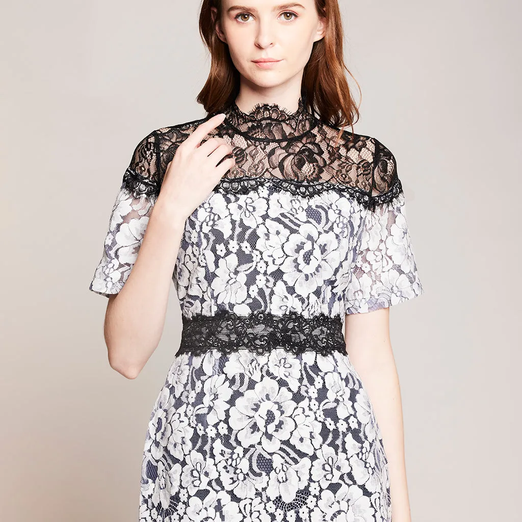 Lace Dress