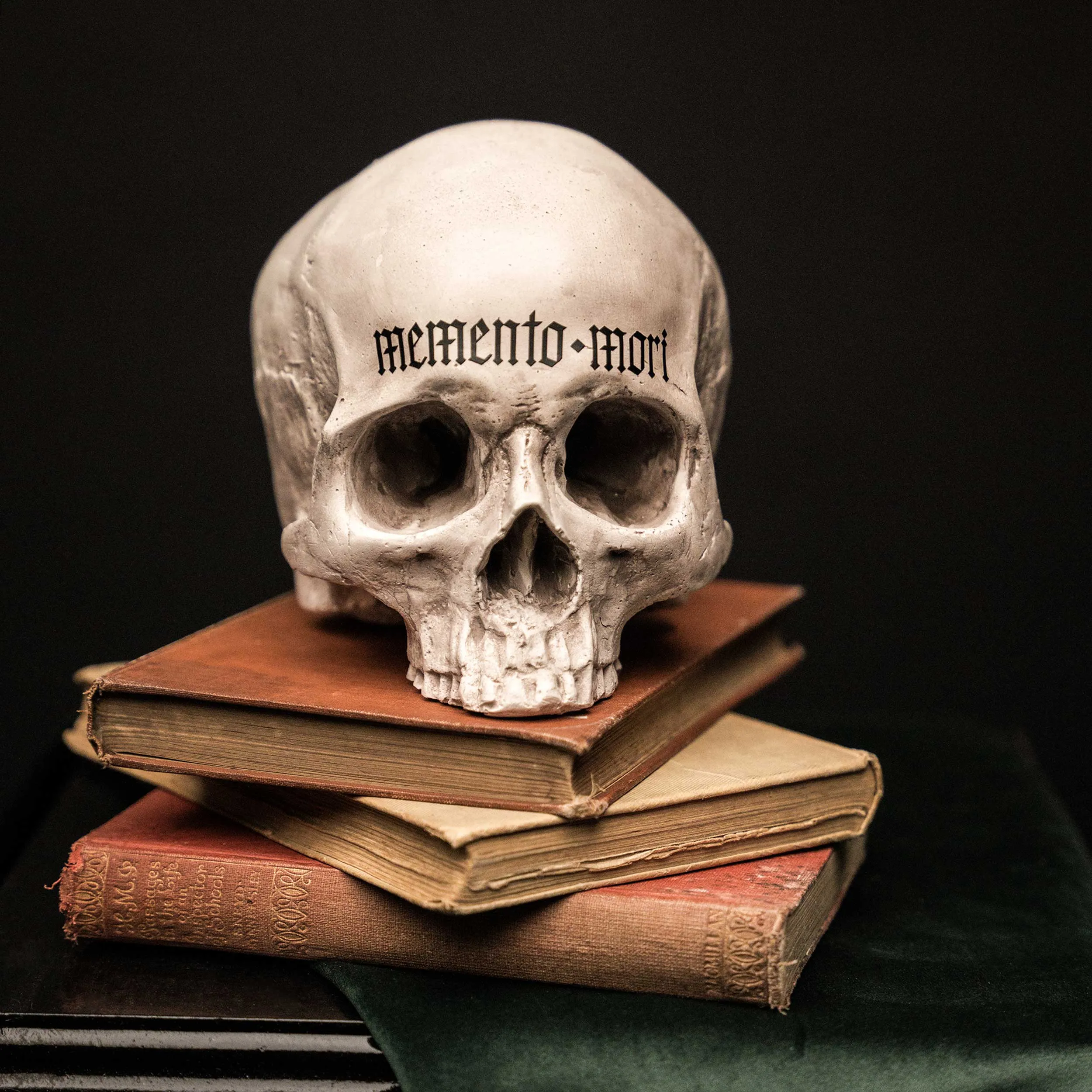 Memento Mori Skull Ornament - Natural